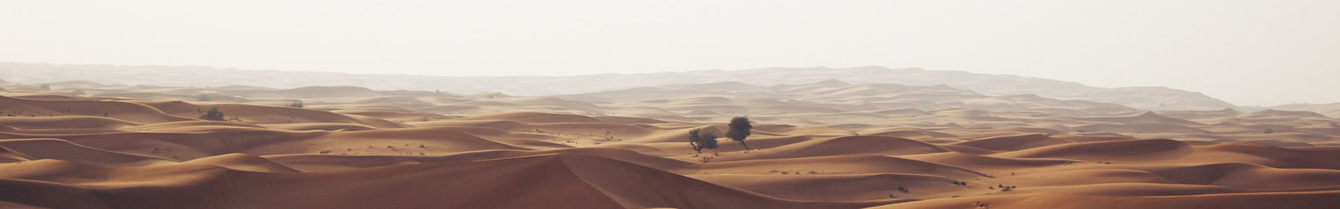 Ƶɷݣй޹˾